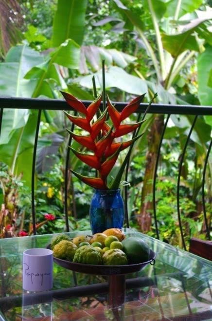 Papayas Self Catering Room Вікторія Екстер'єр фото